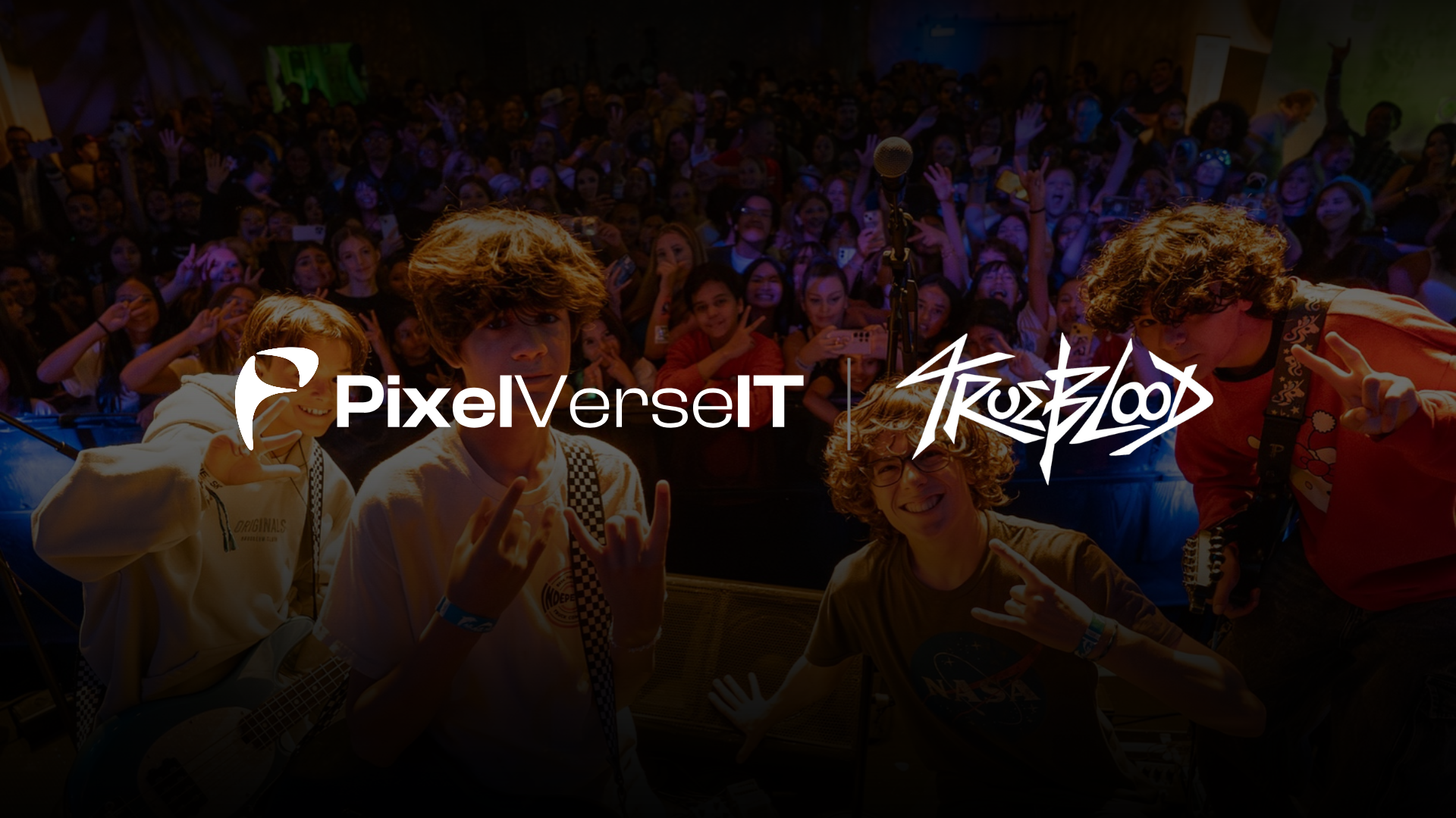 Trueblood Band x PixelVerseIT Partnership Announcement