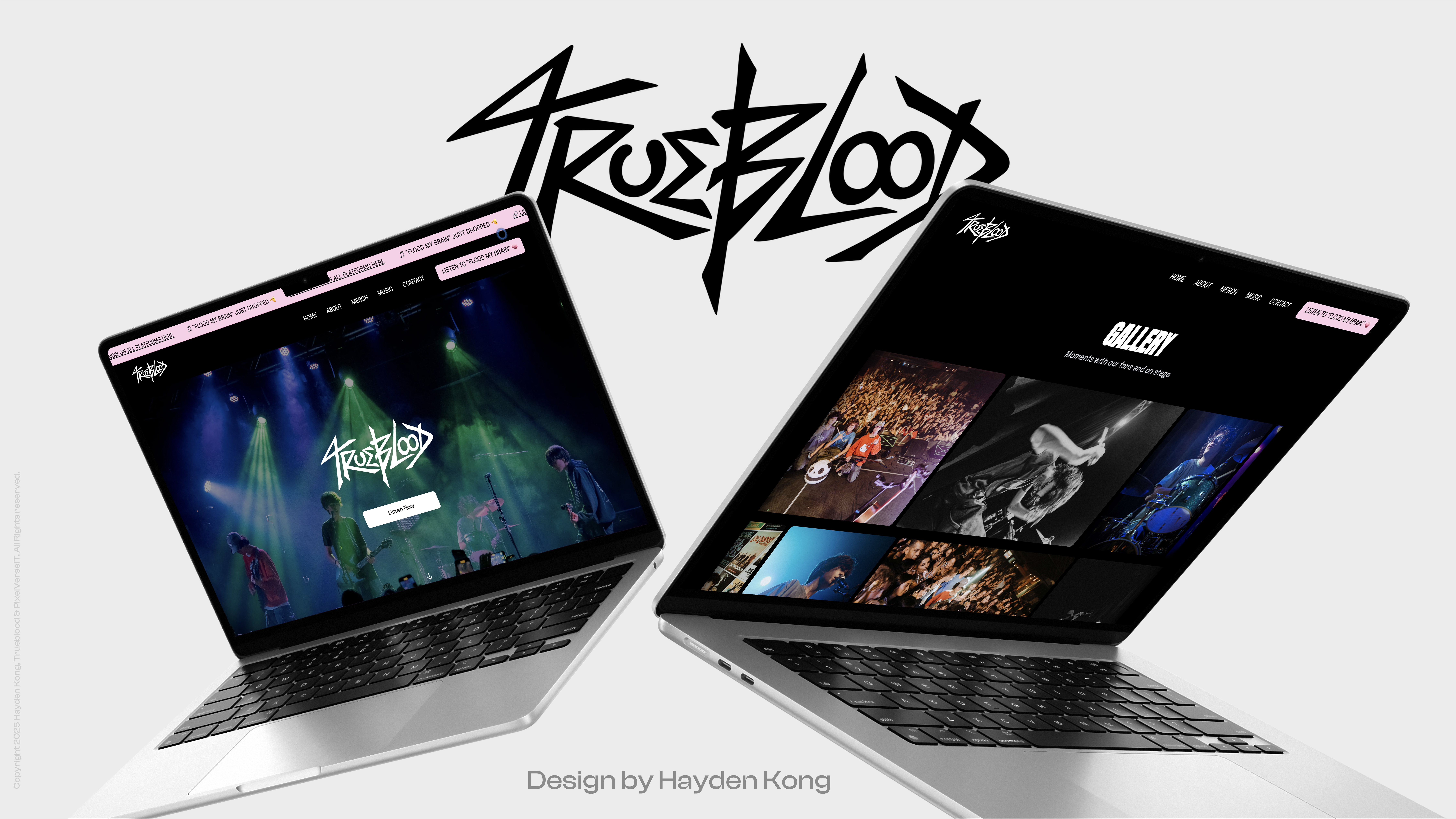 Mockup of Trueblood Website