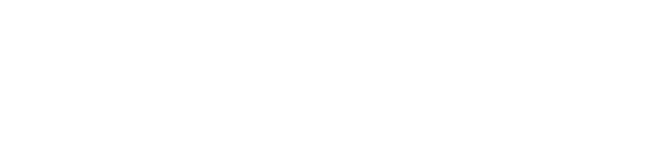 PixelVerse Digital Full Logo - White