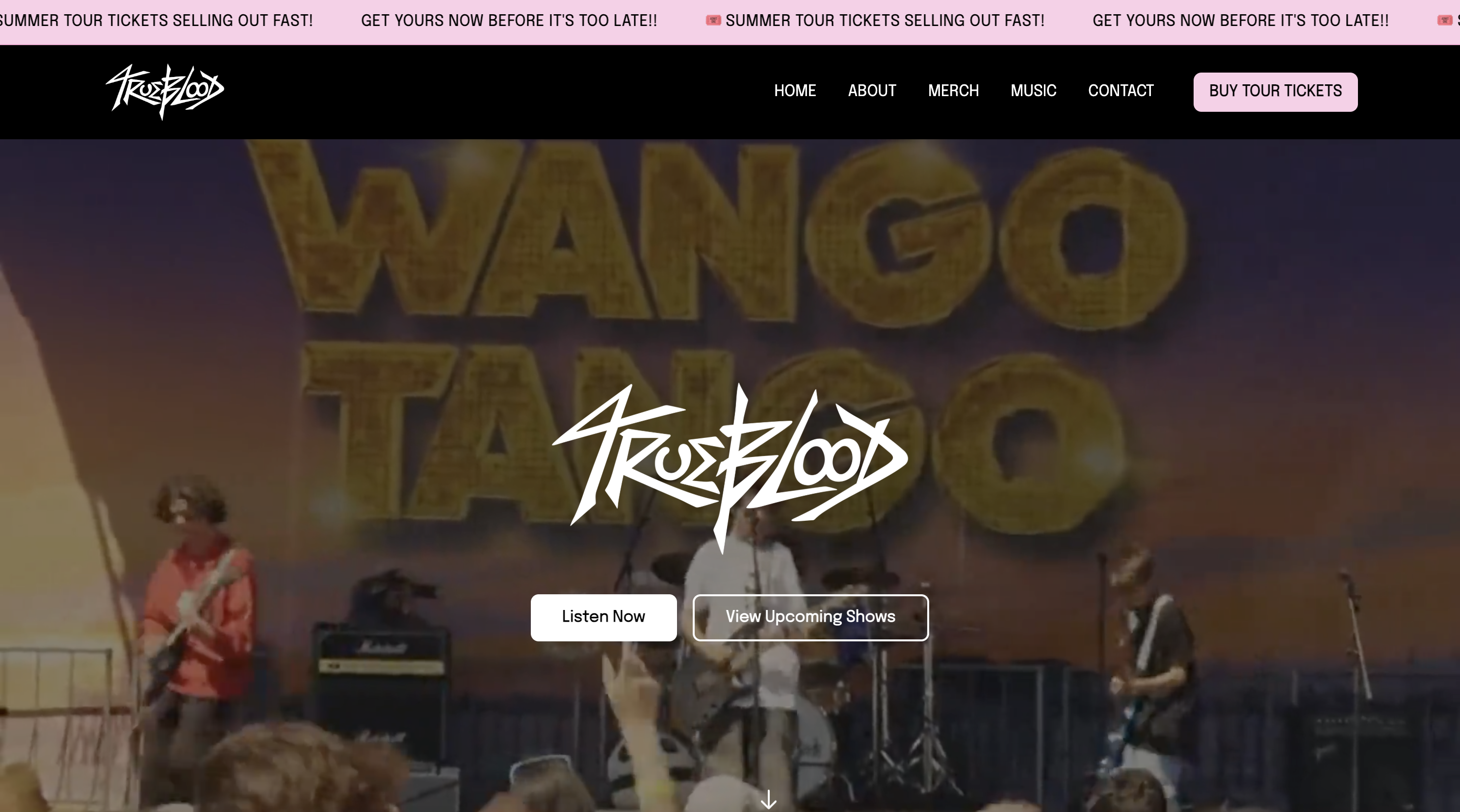 Trueblood Band Website Preview